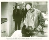 Bullitt Still #33.  
Click to enlarge.